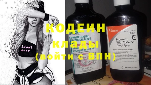 сатива Вязьма